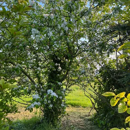 Maison De Mary, Proche De La *
