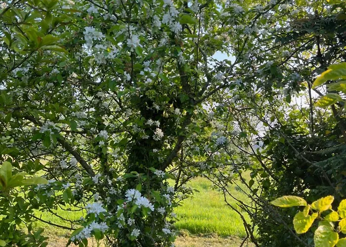 Maison De Mary, Proche De La *