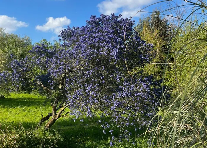 Maison De Mary, Proche De La * Anneville-en-Saire